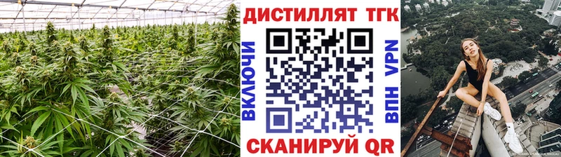 ТГК гашишное масло  Пущино 
